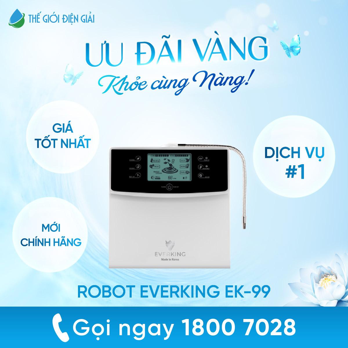 Robot ionKing 912