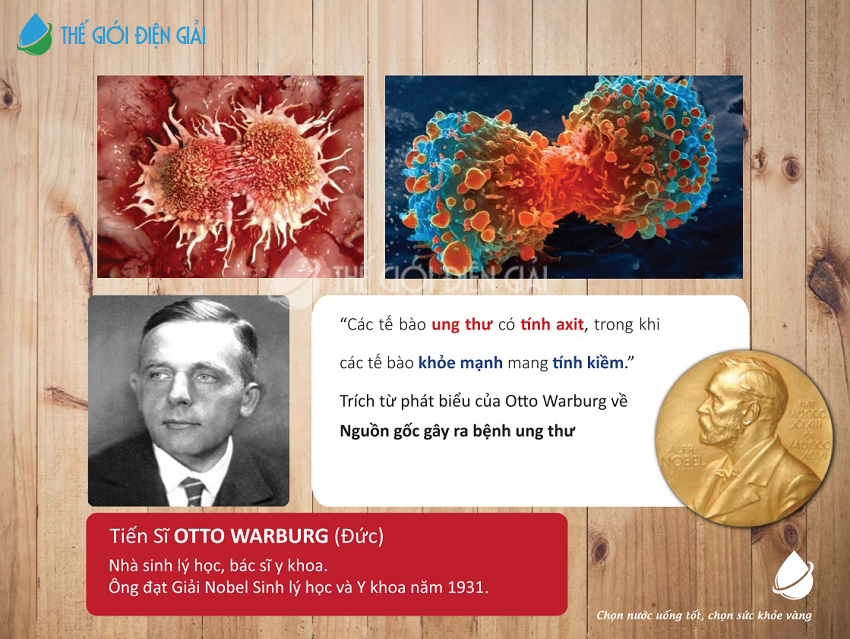 Tiến sĩ Otto Warburg chia sẻ về tế bào mang tính axit & kiềm