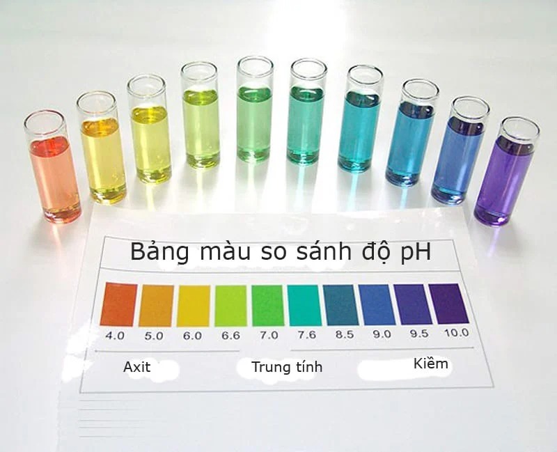 Độ pH là gì? Cách kiểm tra pH trong nước