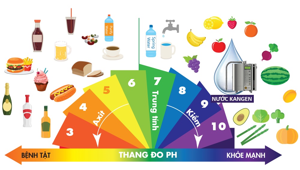 Thang đo pH chỉ ra tính axit và tính kiềm của các loại thực phẩm hàng ngày.