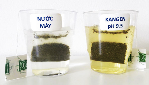 Thí nghiệm pha trà ở nhiệt độ thường, bên trái là ly nước máy, bên phải là ly nước Kangen pH = 9.5. Ly nước Kangen có màu vàng đậm hơn hẳn và chiết xuất ra nhiều mùi trà, rất thơm.