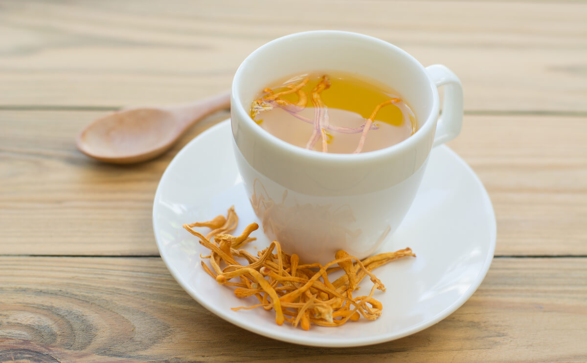 Sử dụng đông trùng hạ thảo khô để hãm trà 