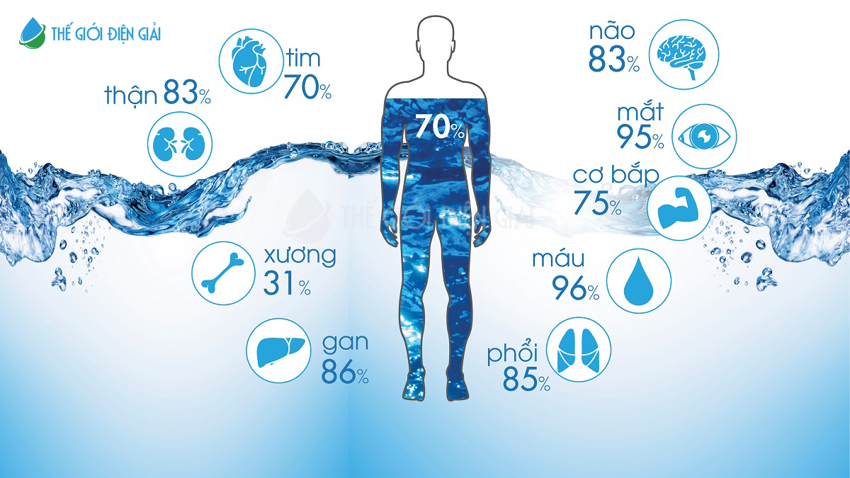 Vai trò của nước với sức khỏe là gì?