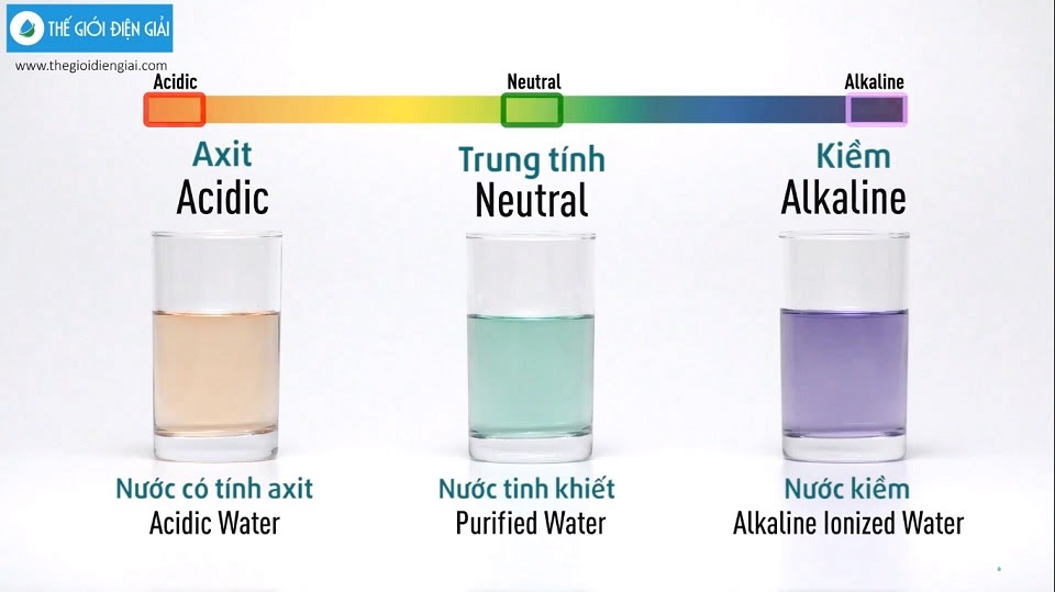 Kiểm tra tính kiềm trong nước ion kiềm bằng dung dịch pH