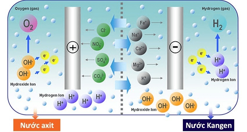 Máy lọc nước ion kiềm siêu bền hoạt động như thế nào?