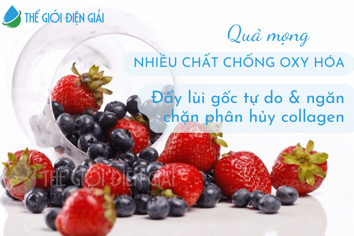 Quả mọng chứa nhiều chất chống oxy hóa 