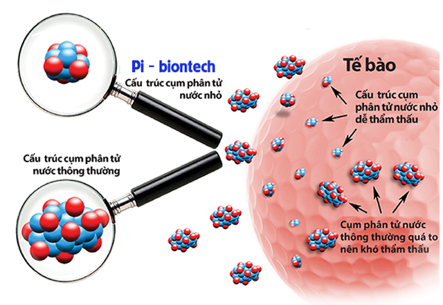 Máy tạo nước ion kiềm Biontech BTM - 207D