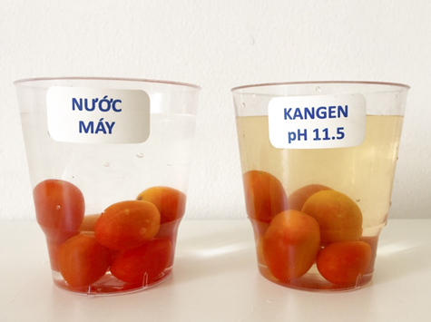 thí nghiệm rửa cà chua bằng nước Kangen mạnh