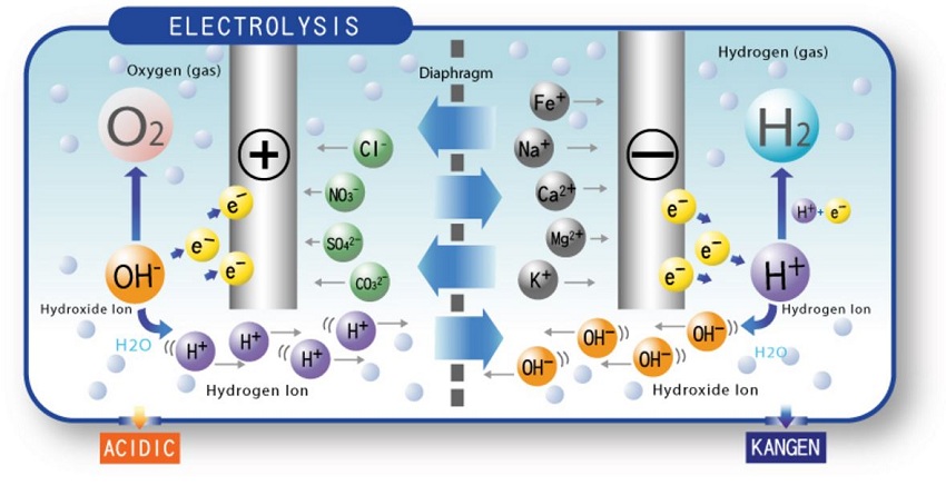 Các tấm điện cực của máy lọc nước ion kiềm Panasonic có khả năng phân tách nước thành các ion H+ và OH-