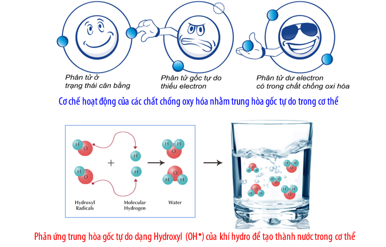 Hydrogen trong nước ion kiềm có thể giúp phòng chống và hỗ trợ điều trị các bệnh mãn tính