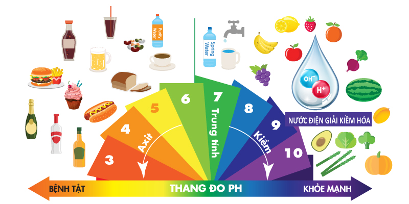 Bảng đo độ pH cho các thực phẩm