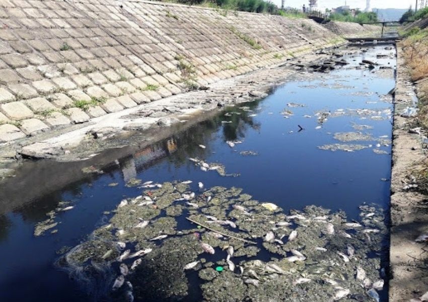 Nguồn nuosc tại Việt Nam ngày càng ô nhiễm