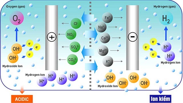 Nước ion axit là loại nước chứa nhiều ion H+ và O2 được tạo ra ở cực dương của máy điện giải