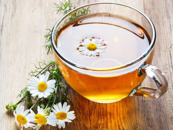 hình ảnh trà hoa cúc thức uống tốt cho sức khỏe