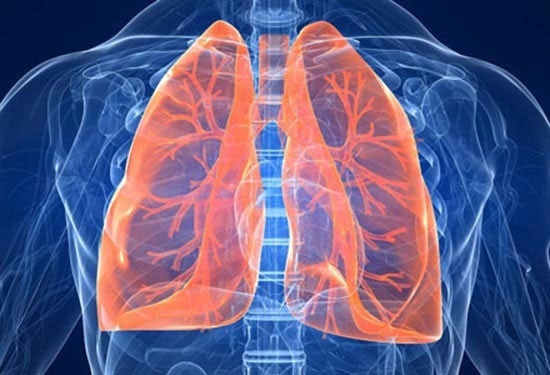 làm sạch phổi là một trong những vai trò của nước đối với cơ thể 