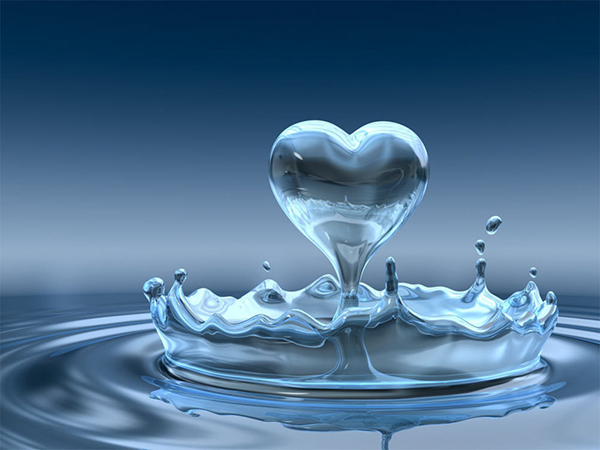 Vai trò của nước đối với cơ thể trong quá trình vận chuyển oxy, máu...
