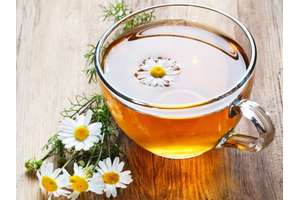 Công dụng tuyệt vời của trà hoa cúc, Cách uống & Lưu ý khi sử dụng!!!