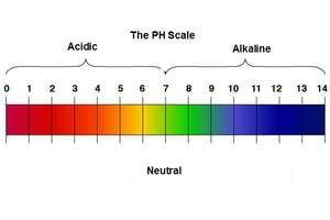 Ứng dụng và cách tính độ pH vào sức khỏe và đời sống